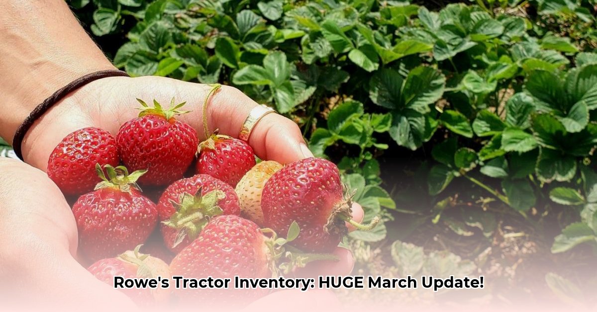 rowes-tractor